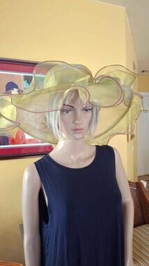 Elegant wide brim hat